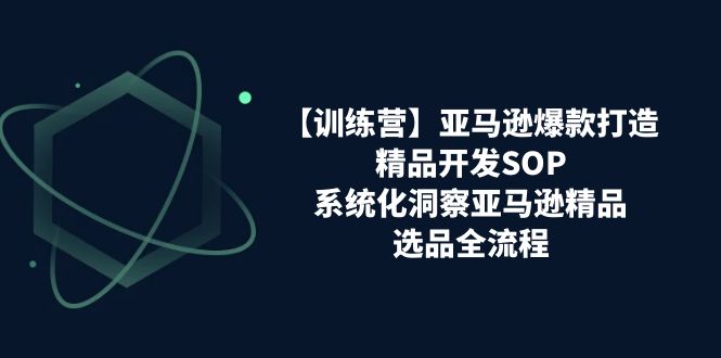 （11210期）【训练营】亚马逊爆款打造之精品开发SOP，系统化洞察亚马逊精品选品全流程-生财有道