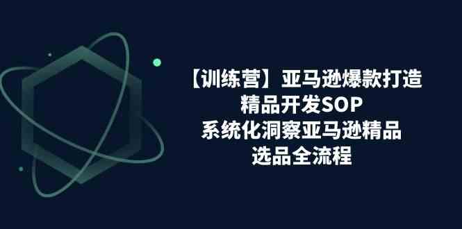 亚马逊爆款打造之精品开发SOP【训练营】，系统化洞察亚马逊精品选品全流程-生财有道