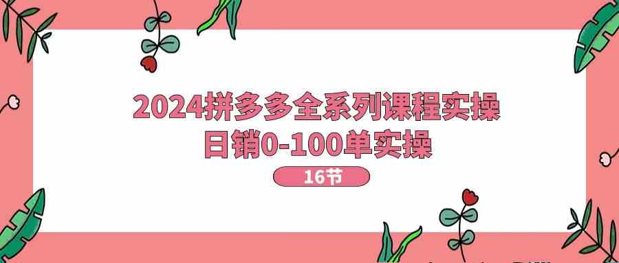 2024拼多多全系列课程实操，日销0-100单实操【16节课】-生财有道