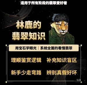 林鹿的翡翠知识，​用宝石眼光，系统全面的看懂翡翠-生财有道