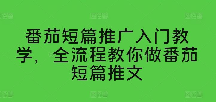 番茄短篇推广入门教学，全流程教你做番茄短篇推文-生财有道