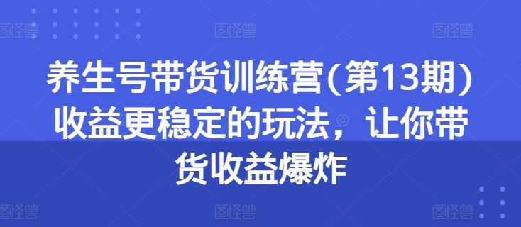 养生号带货训练营(第13期)收益更稳定的玩法，让你带货收益爆炸-生财有道