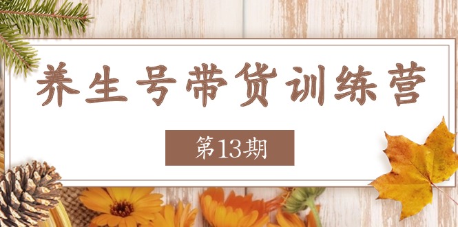 （11275期）养生号-带货训练营【第13期】收益更稳定的玩法，让你带货收益爆炸-生财有道
