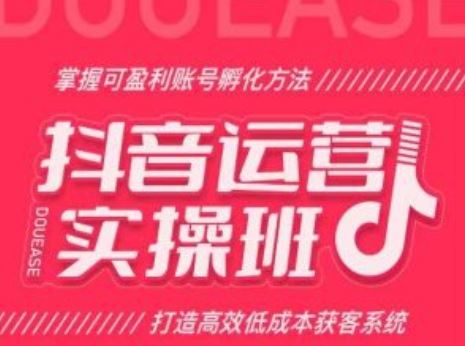 抖音运营实操班，掌握可盈利账号孵化方法，打造高效低成本获客系统-生财有道