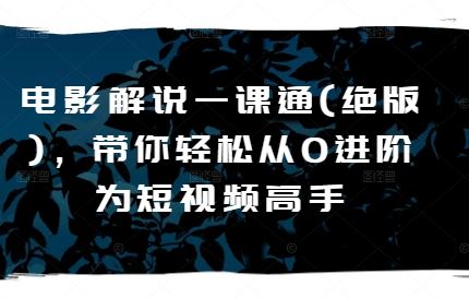电影解说一课通(绝版)，带你轻松从0进阶为短视频高手-生财有道