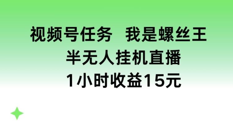 视频号任务，我是螺丝王， 半无人挂机1小时收益15元【揭秘】-生财有道