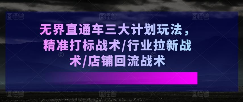 无界直通车三大计划玩法，精准打标战术/行业拉新战术/店铺回流战术-生财有道