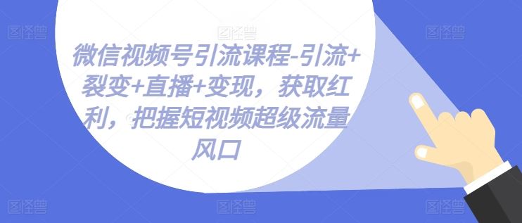 微信视频号引流课程-引流+裂变+直播+变现，获取红利，把握短视频超级流量风口-生财有道