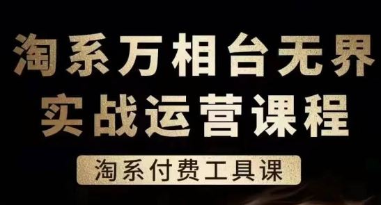 淘系万相台无界实战运营课，淘系付费工具课-生财有道
