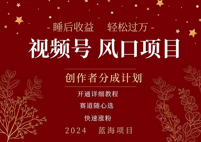 （11331期）拥有睡眠收益的微信视频号大风口项目，轻松月入过万+，多赛道选择，可…-生财有道