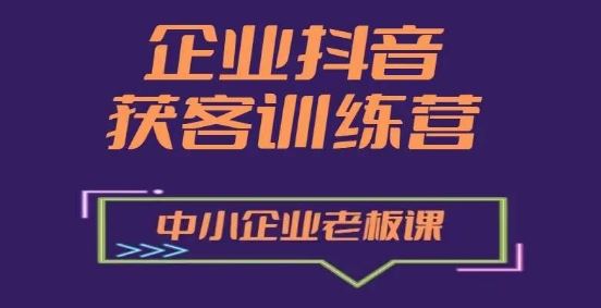 企业抖音营销获客增长训练营，中小企业老板必修课-生财有道