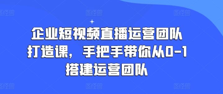 企业短视频直播运营团队打造课，手把手带你从0-1搭建运营团队-生财有道