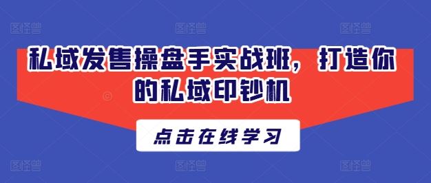 私域发售操盘手实战班，打造你的私域印钞机-生财有道