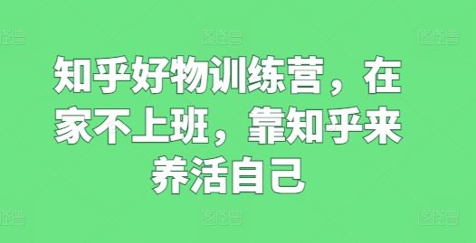 知乎好物训练营，在家不上班，靠知乎来养活自己-生财有道