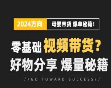 短视频母婴赛道实操流量训练营，零基础视频带货，好物分享，爆量秘籍-生财有道