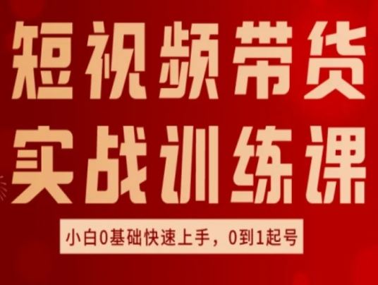 短视频带货实战训练课，好物分享实操，小白0基础快速上手，0到1起号-生财有道