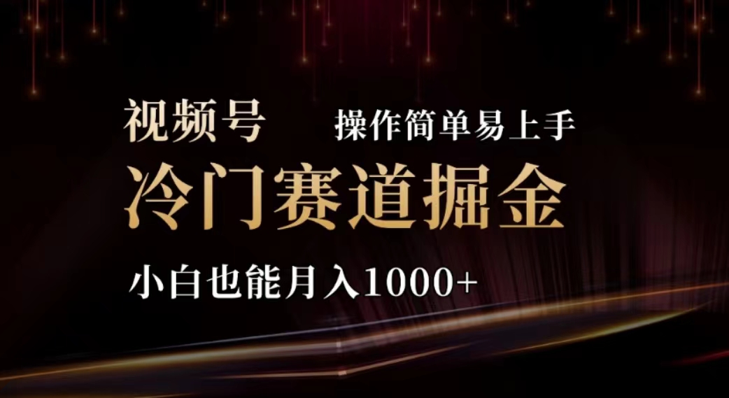 （11378期）2024视频号冷门赛道掘金，操作简单轻松上手，小白也能月入1000+-生财有道