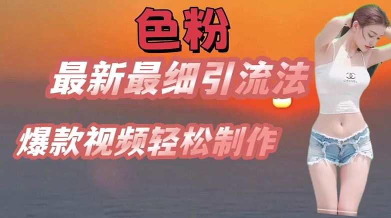se粉最新最细引流法，七天螺旋起号法，爆款视频轻松制作【揭秘】-生财有道