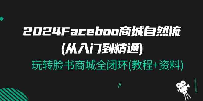 2024Faceboo 商城自然流(从入门到精通)，玩转脸书商城全闭环(教程+资料)-生财有道