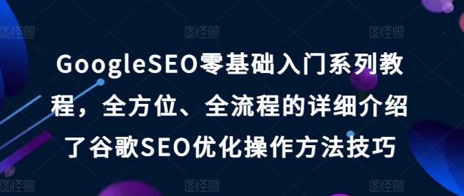 GoogleSEO零基础入门系列教程，全方位、全流程的详细介绍了谷歌SEO优化操作方法技巧-生财有道