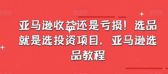 亚马逊收益还是亏损！选品就是选投资项目，亚马逊选品教程-生财有道