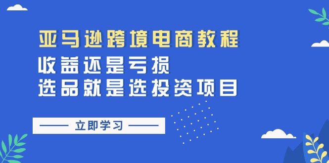 （11432期）亚马逊跨境电商教程：收益还是亏损！选品就是选投资项目-生财有道