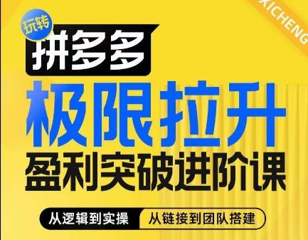 拼多多极限拉升盈利突破进阶课，​从算法到玩法，从玩法到团队搭建，体系化系统性帮助商家实现利润提升-生财有道