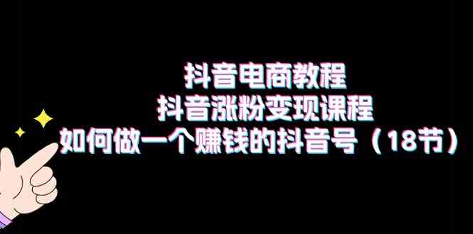 抖音电商教程：抖音涨粉变现课程：如何做一个赚钱的抖音号（18节）-生财有道