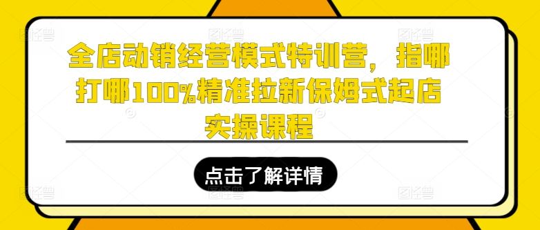 全店动销经营模式特训营，指哪打哪100%精准拉新保姆式起店实操课程-生财有道