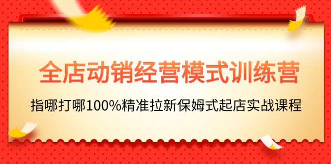 （11460期）全店动销-经营模式训练营，指哪打哪100%精准拉新保姆式起店实战课程-生财有道