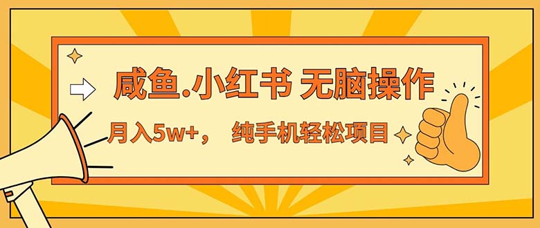 （11524期）2024最赚钱的项目，咸鱼，小红书无脑操作，每单利润500+，轻松月入5万+…-生财有道