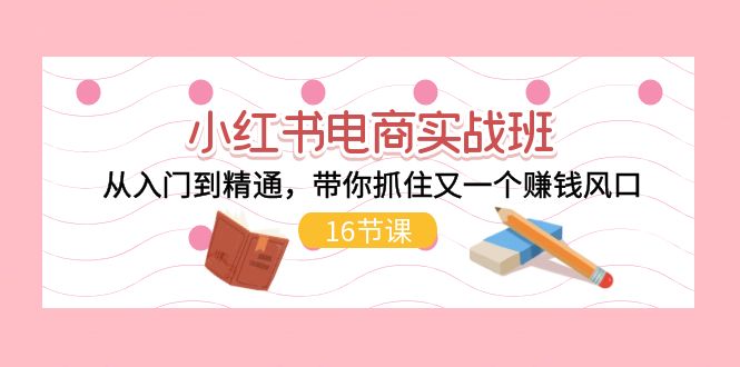 （11533期）小红书电商实战班，从入门到精通，带你抓住又一个赚钱风口（16节）-生财有道