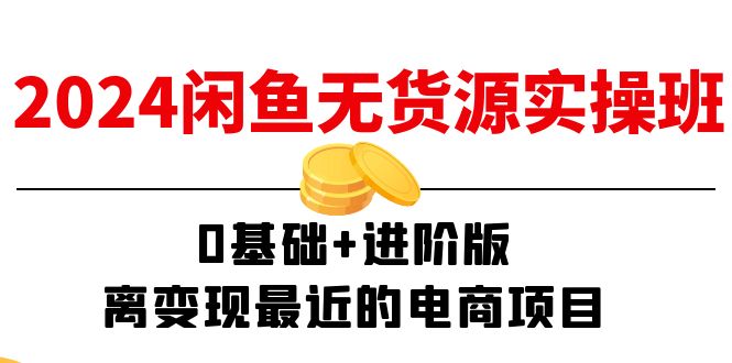 （11535期）2024闲鱼-无货源实操班：0基础+进阶版，离变现最近的电商项目（15节）-生财有道