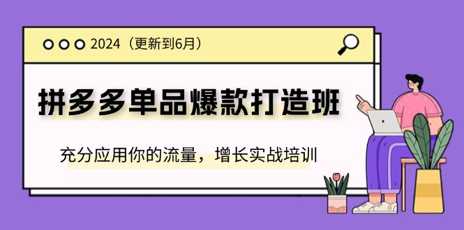 （11556期）2024拼多多-单品爆款打造班(更新6月)，充分应用你的流量，增长实战培训-生财有道