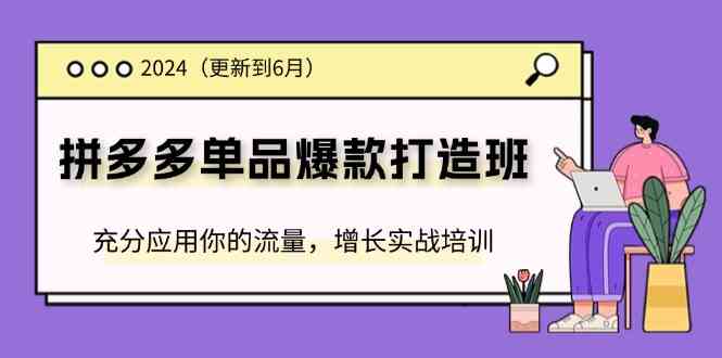 2024拼多多单品爆款打造班，充分应用你的流量，增长实战培训(更新6月)-生财有道