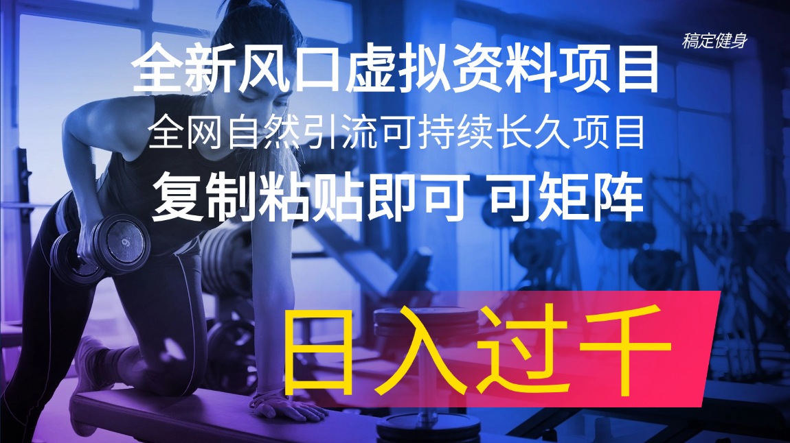 （11587期）全新风口虚拟资料项目 全网自然引流可持续长久项目 复制粘贴即可可矩阵…-生财有道