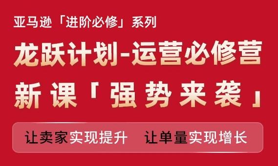 亚马逊进阶必修系列，龙跃计划-运营必修营新课，让卖家实现提升 让单量实现增长-生财有道