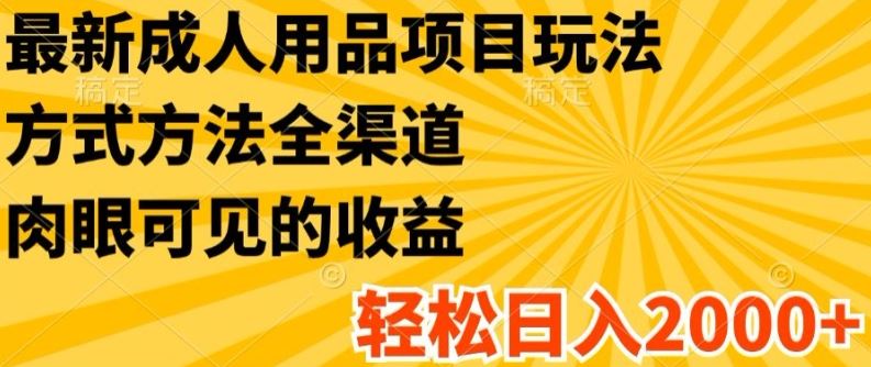 最新成人用品项目玩法，方式方法全渠道，轻松日入2K+【揭秘】-生财有道