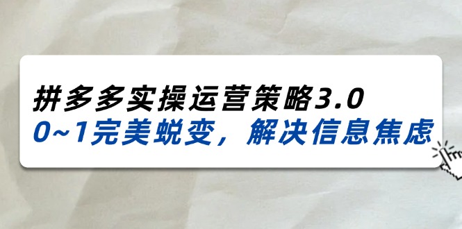 （11658期）2024_2025拼多多实操运营策略3.0，0~1完美蜕变，解决信息焦虑（38节）-生财有道