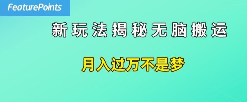 简单操作，每天50美元收入，搬运就是赚钱的秘诀【揭秘】-生财有道