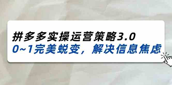 2024-2025拼多多实操运营策略3.0，0~1完美蜕变，解决信息焦虑（38节）-生财有道