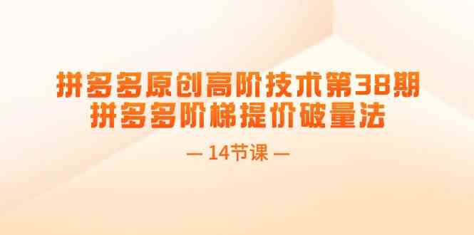 拼多多原创高阶技术第38期，拼多多阶梯提价破量法（14节课）-生财有道