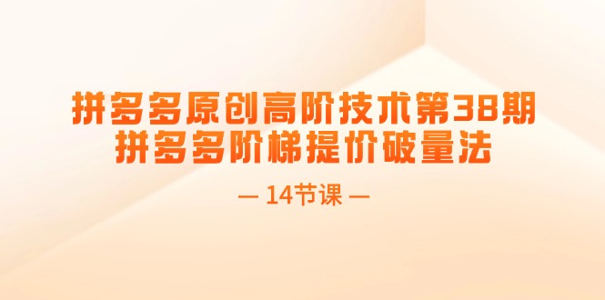 （11704期）拼多多原创高阶技术第38期，拼多多阶梯提价破量法（14节课）-生财有道