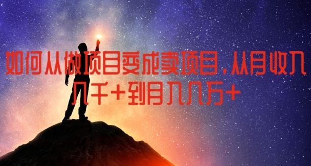 如何从做项目变成卖项目，从月收入几千到月入几万【揭秘】-生财有道