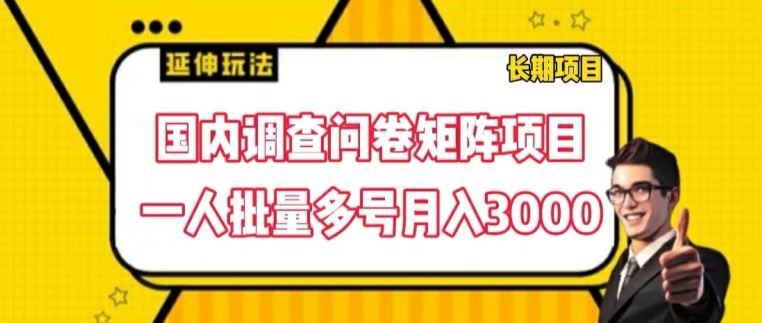 国内调查问卷矩阵项目，一人批量多号月入3000【揭秘】-生财有道