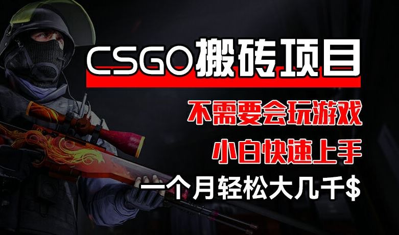 CSGO 装备搬砖项目，操作简单，不需要会玩游戏，小白也能快速上手，一个月轻松大几千【揭秘】-生财有道