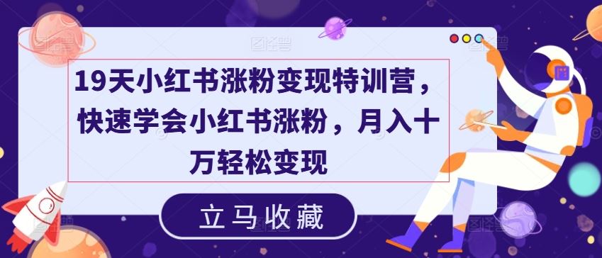 19天小红书涨粉变现特训营，快速学会小红书涨粉，月入十万轻松变现-生财有道