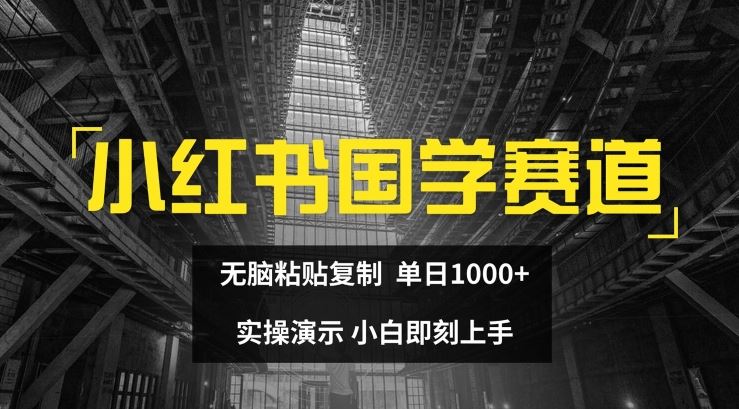 小红书国学赛道，无脑粘贴复制，单日1K，实操演示，小白即刻上手【揭秘】-生财有道