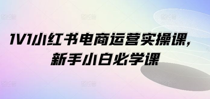 1V1小红书电商运营实操课，新手小白必学课-生财有道