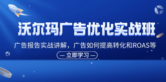 （11847期）沃尔玛广告优化实战班，广告报告实战讲解，广告如何提高转化和ROAS等-生财有道